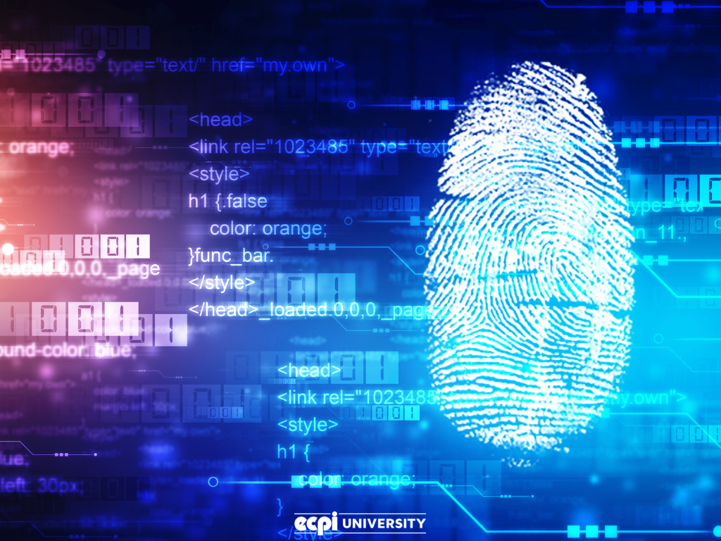 Computer Forensics Guide
